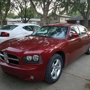 Meet your Posher, Owen